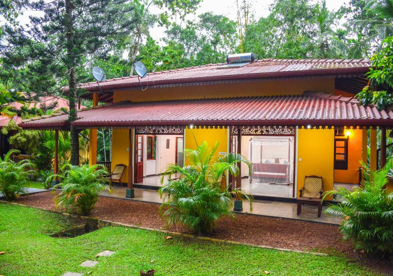 Araliya Gardens Hotel Hikkaduwa Εξωτερικό φωτογραφία